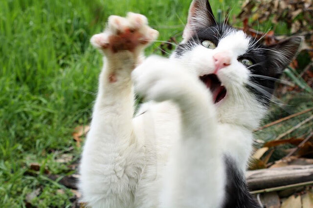 Kaiyun APP-《电竞赛事中的危机管理：保障比赛顺利进行》，电竞赛事策划方案