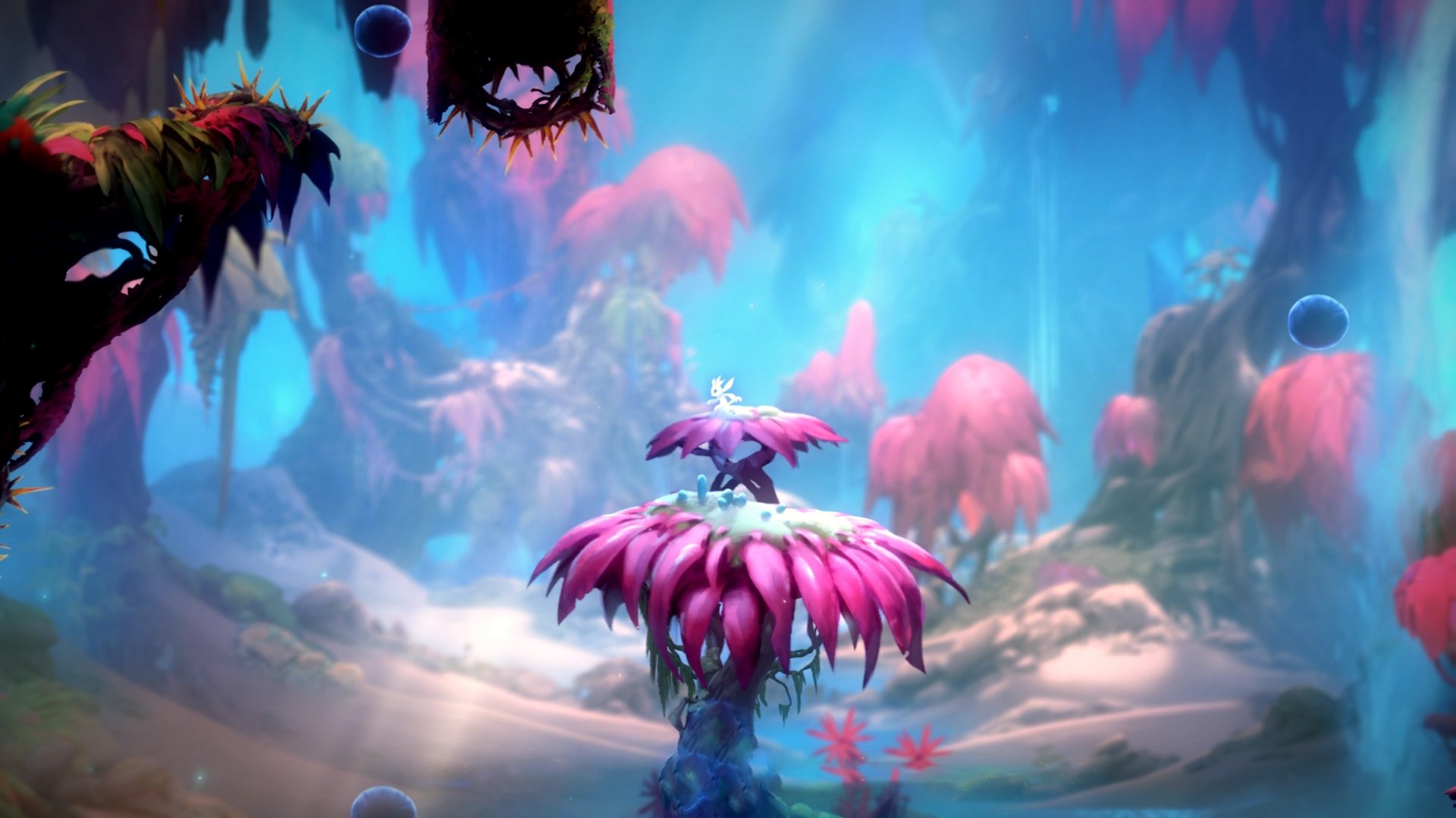 开云官方网站-全国青少年足球冠军赛盛大开幕，激发少年梦想，2020全国青少年足球冠军赛