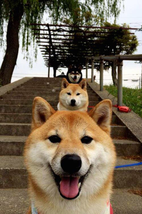 开云网站-数字经济赋能电竞行业，NFT等新兴市场持续火热，数字电竞与智能经济