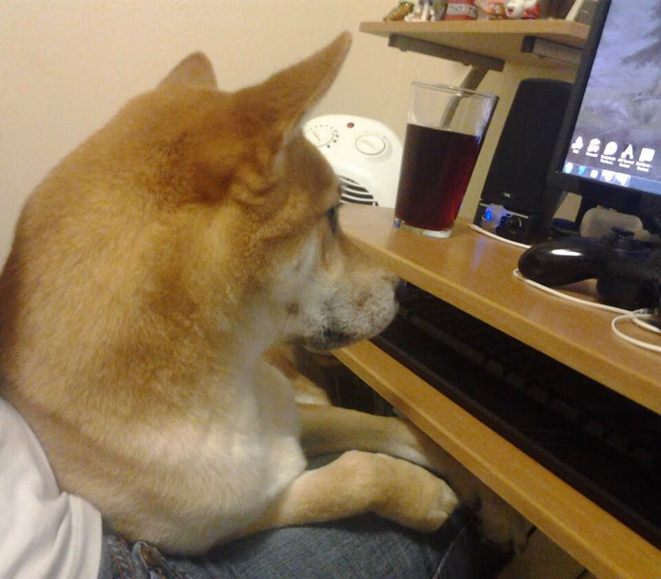 极限极速漂移赛,火爆水域上的速度狂飙,极限漂移二中文版