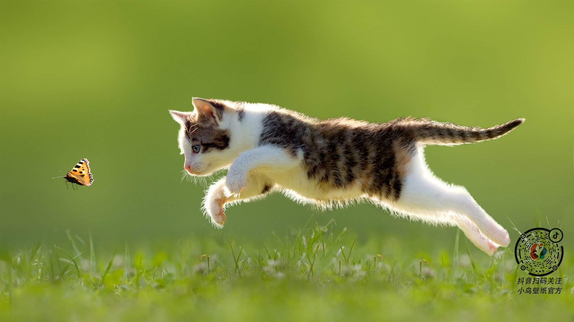 开云kaiyun-灰熊签下塞尔维亚外线射手，计划增加空间打法，hunter塞尔维亚