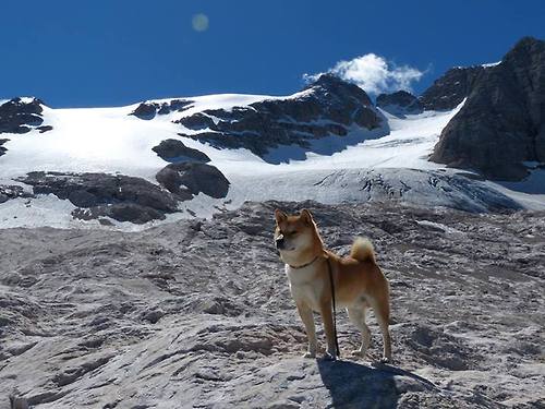 Kaiyun官方登录入口-英超明星赛期待再次掀起足球激情，英超明星球员名单