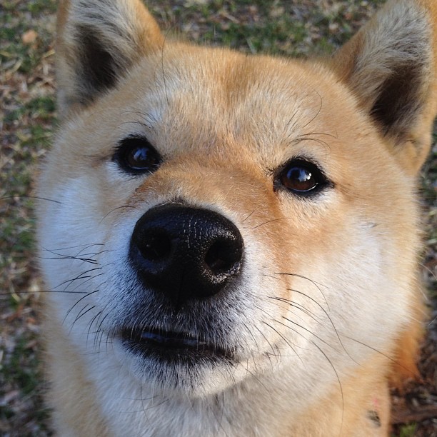 开云网页版-足球青少年俱乐部联盟成立，推动青训系统完善，青少年足球俱乐部招生简章