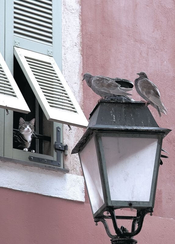 kaiyun中国官方网站-世界羽联总决赛开打，国羽全主力出征冲冠，世界羽联年终总决赛男单决赛