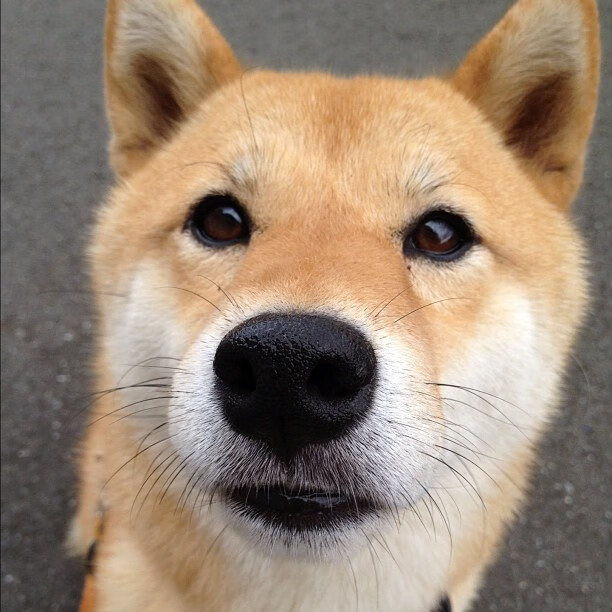 kaiyun体育综合-国际象棋中国公开赛天津滨海举行，240余名中外棋手角逐，国际象棋比赛现场