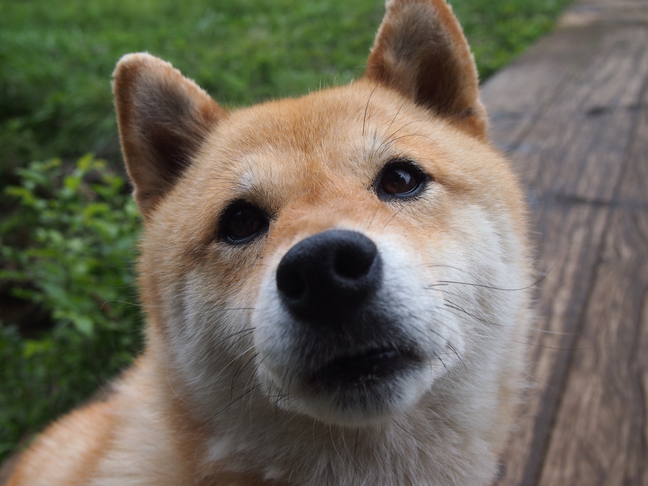 开云网页版登录入口-广厦控股外线火力成为取胜利器，广厦控股集团怎么样