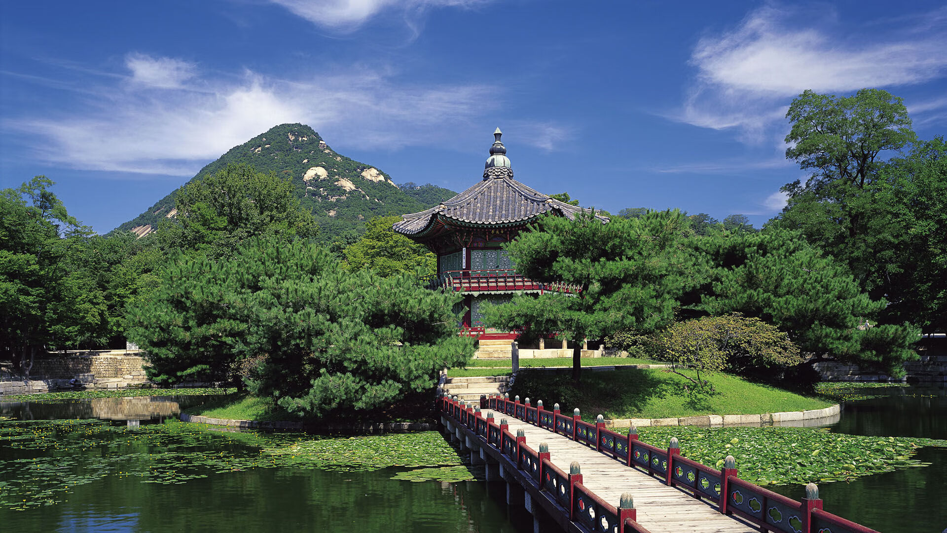 kaiyun体育app-张玉宁伤愈复出，助力国安进攻，张玉宁伤退