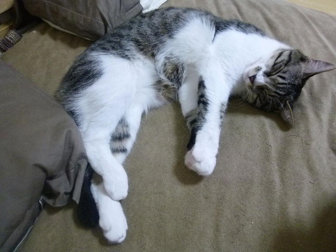 扭转乾坤,球队出色表现实现逆转!,扭转乾坤的下一句句是什么