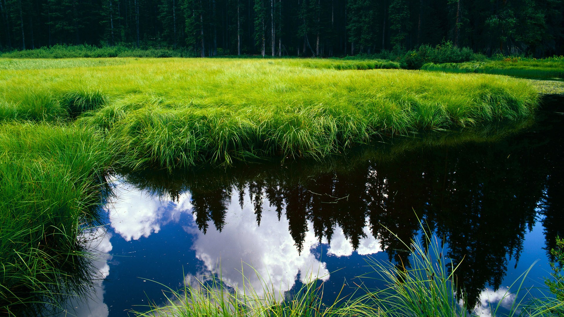 开云体育-球员个性表达是否应得到更多空间，球员特点