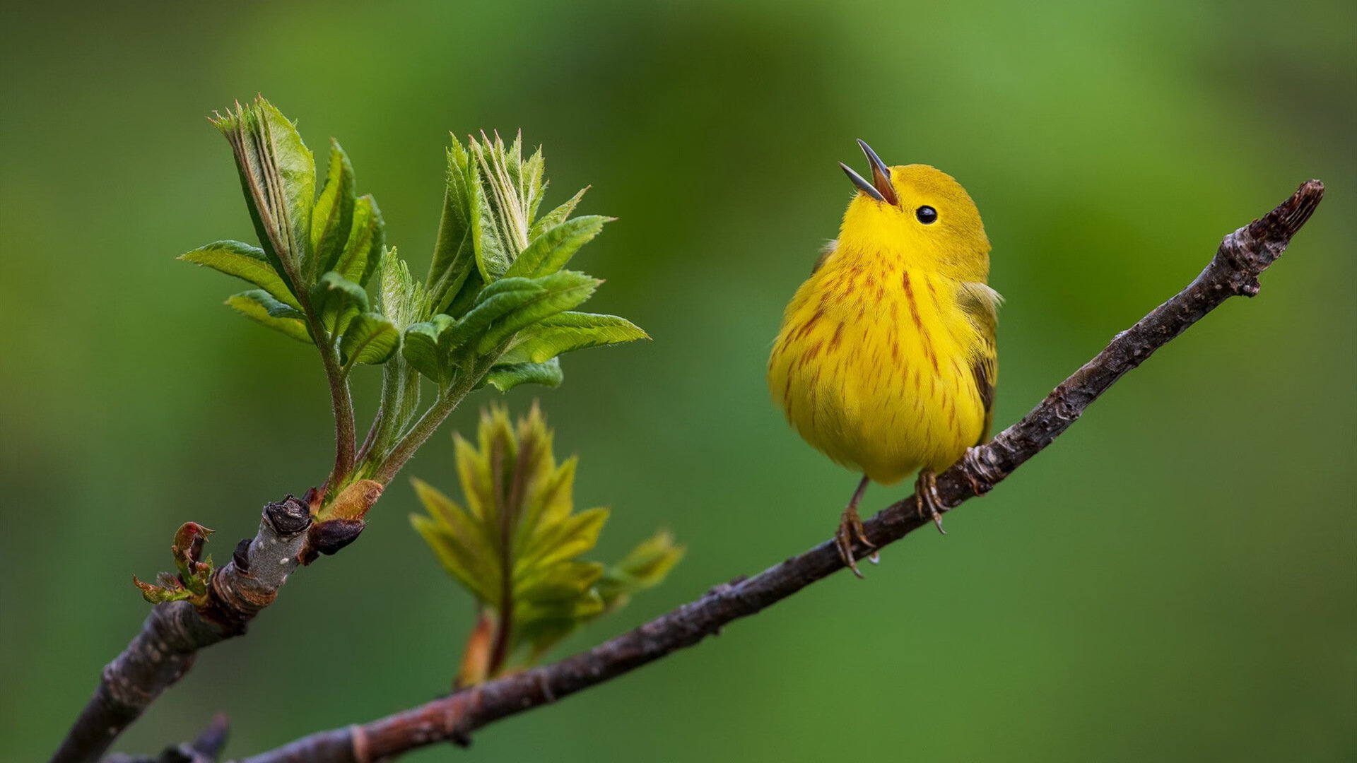 kaiyun官方网站-马德里竞技客场取胜跻身西甲前四，马德里竞技客场取胜跻身西甲前四的球员