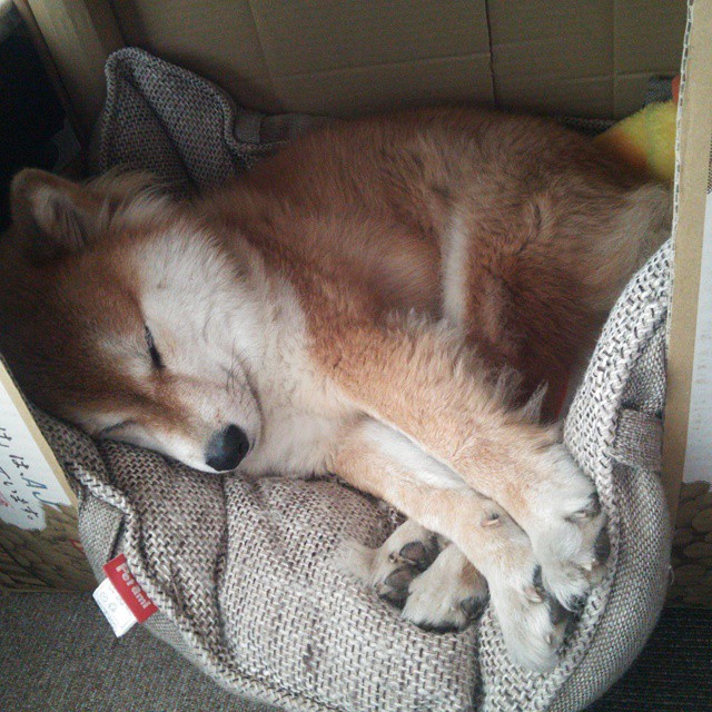 Kaiyun(中国)开云-意甲裁判团队结合语音语义识别提升跨国执法一致性