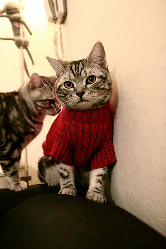 开云·体育官网-西甲裁判引导语变化对球队心理博弈的间接影响探讨，西甲裁判工资