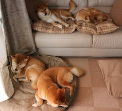 英超最火爆:逆境奋战,造就奇迹!,英超最善于逆转的球队