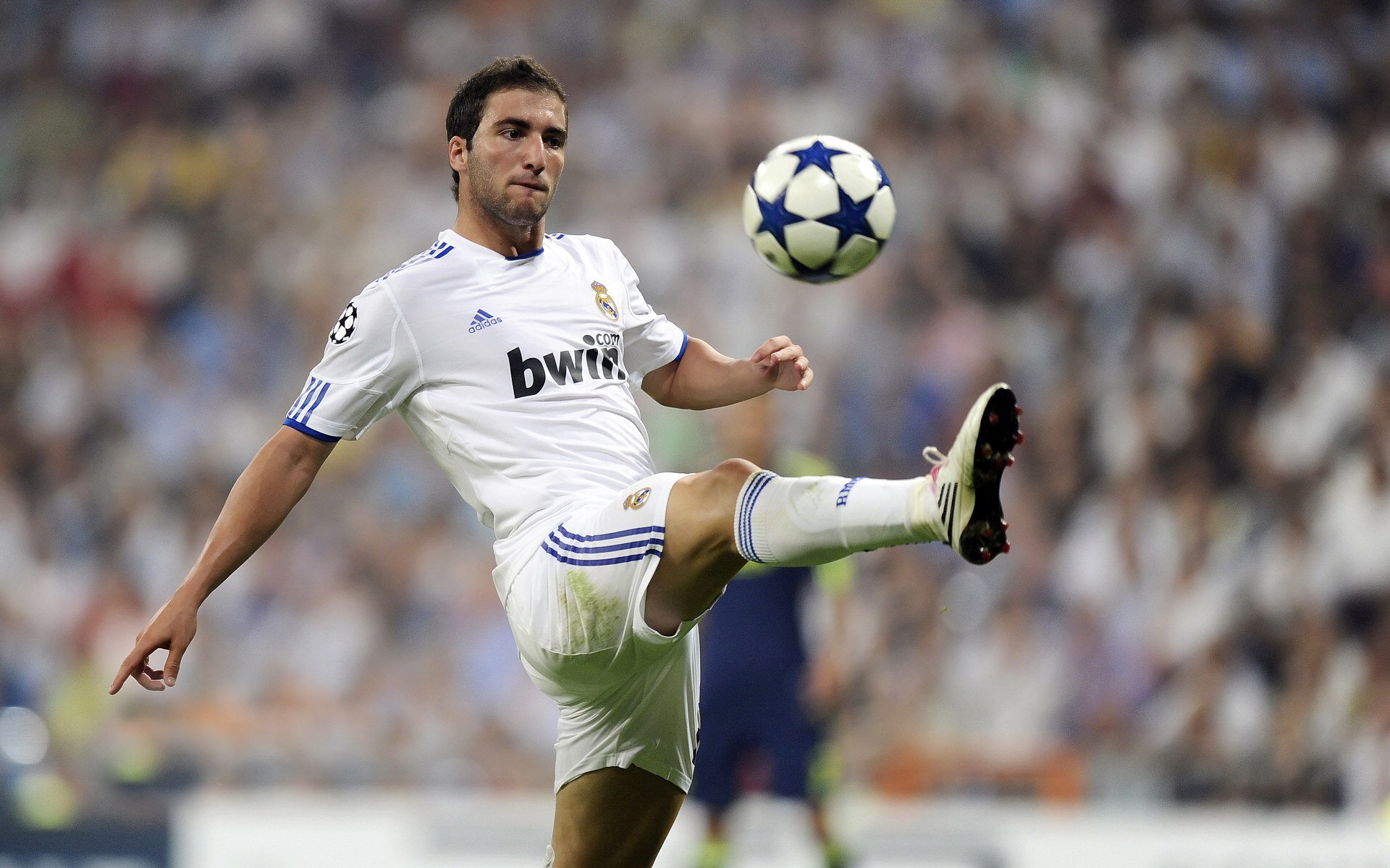 _极地冰雪滑行：体验雪原速度的快感_，极地冰川